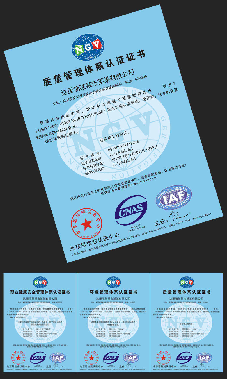 职业健康安全环境质量管理体系CDR模板下载
