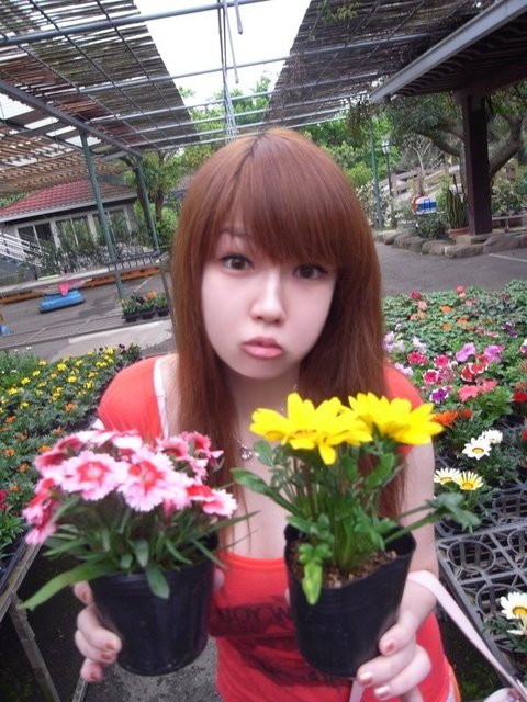 KK31 656张 大胸美女网红套图-13