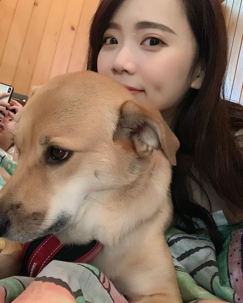 W26_女套图509照片+40视频（长腿女神美腿清纯邻家青春照素颜自拍照生活照）-15
