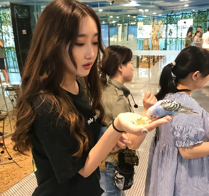 W68_女套图500照片+12视频（长腿青春美女 优秀学生女神主持人）-5