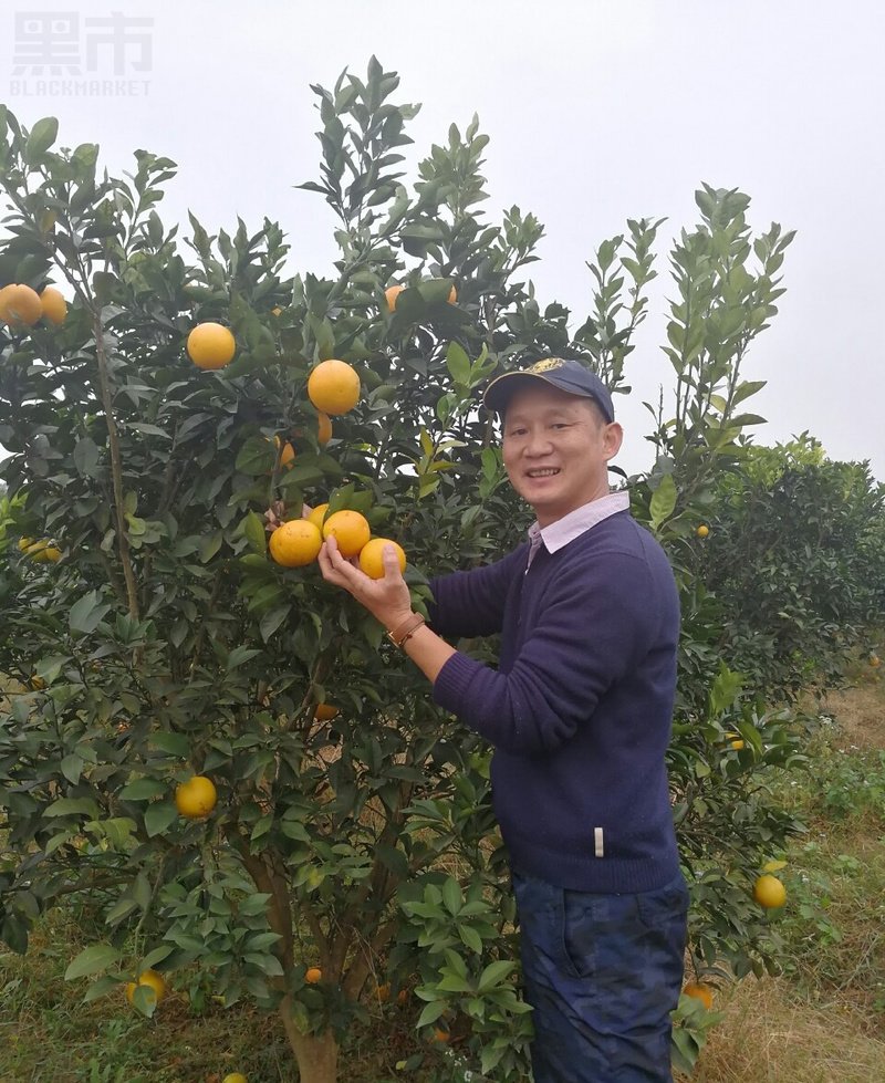M78_男套图204照片+25视频（三十五岁成熟男人微信营销素材 有全国各地旅游照）-1