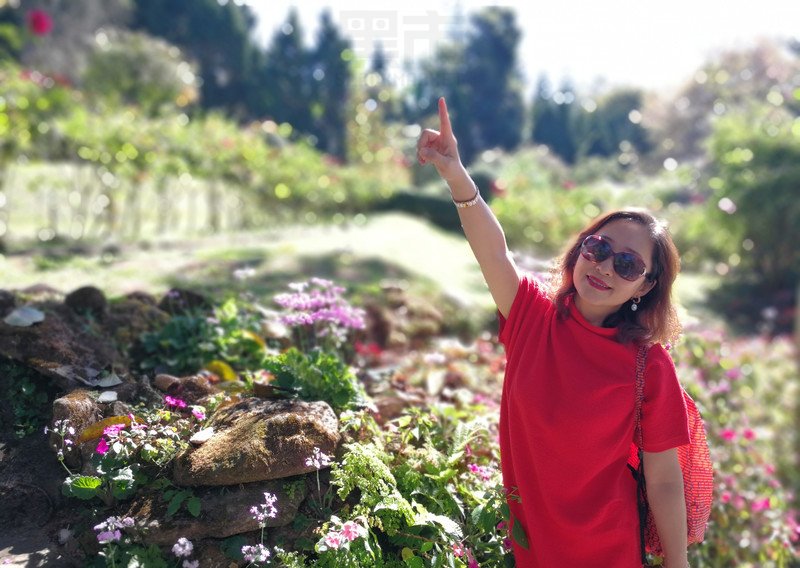 W83_女套图445照片（中年妇女同一个人生活照 中老年女人做微商成功高端形象照图片多张）-11