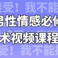 【杀猪盘教程】高情商聊天术 男性情感心理学课程