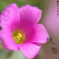 【恋爱宝典】关系修复策略 魅力男神系列